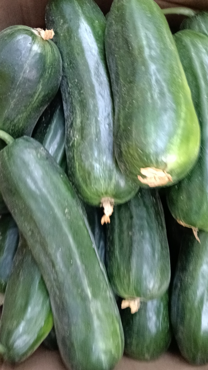 菜瓜