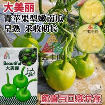 大美丽嫩南瓜种子早熟苹果型一串铃南瓜种籽抗病高产肉嫩黄
