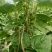 大量上市，需要的老板与我联系