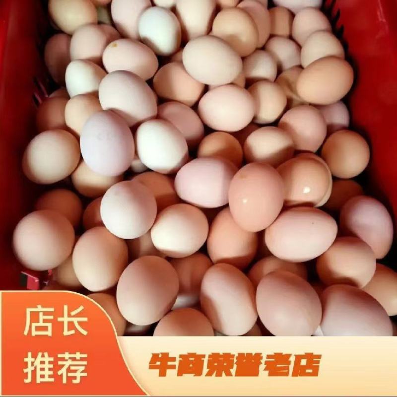 欢迎各位老板来采购，可批发土鸡蛋，全国物流批发