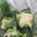 菜花