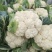 菜花