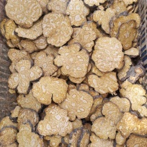 云南道地药高含量何首乌