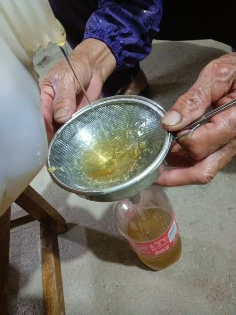 自家养的蜜蜂主要是荔枝花，龙眼花