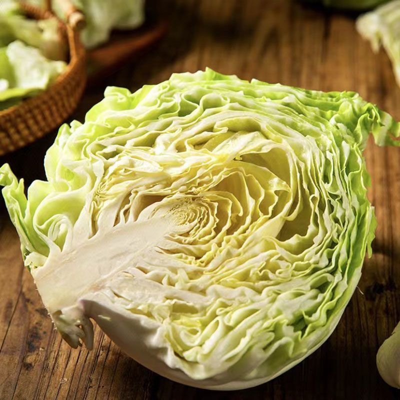 精品牛心甘蓝天津甘蓝大量供应各种规格都有欢迎来电采