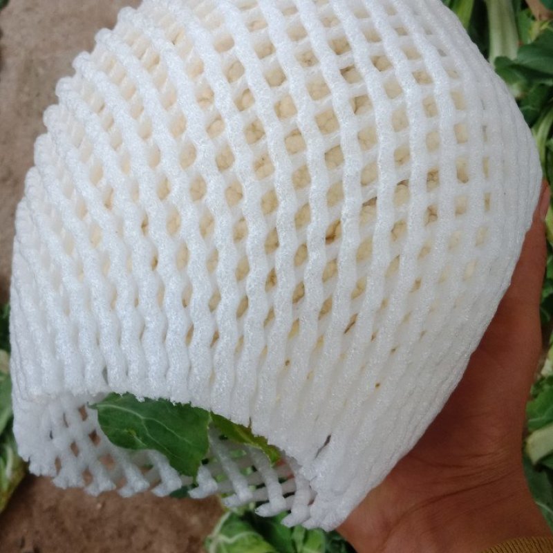 精品大棚花菜大量上市中精品大棚花菜大量上市中
