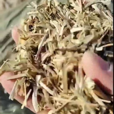 花生秧草料，无土，无膜，无霉，全国各地都发货
