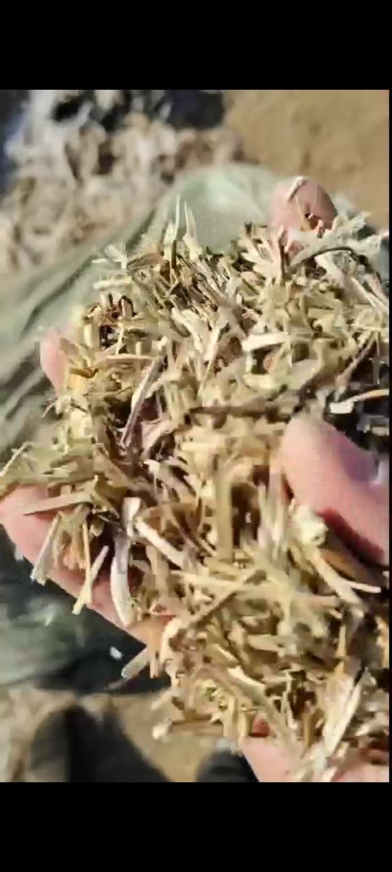 花生秧草料，无土，无膜，无霉，全国各地都发货
