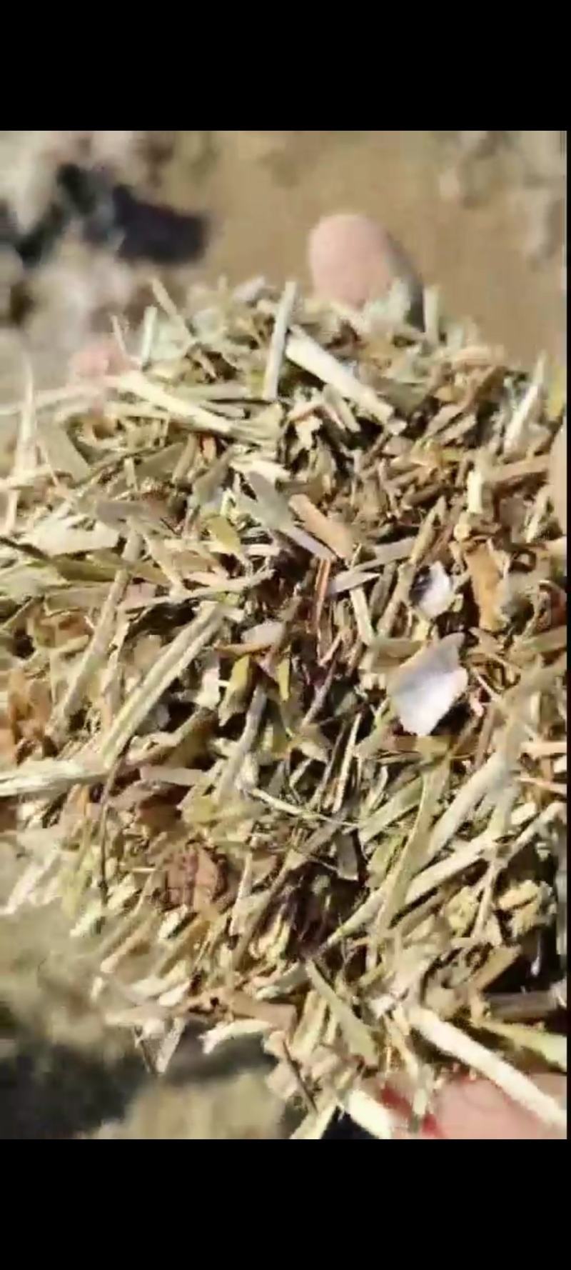 花生秧草料，无土，无膜，无霉，全国各地都发货