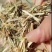 花生秧草料，无土，无膜，无霉，全国各地都发货