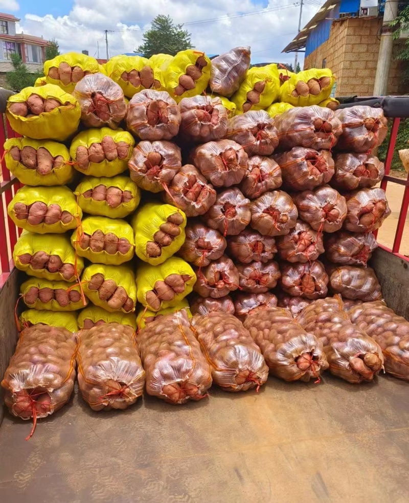 土豆云南红皮洋芋马铃薯昆明一件代发市场精品货