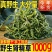 肾精草东北吉林长白山野山肾精茶肾经草化石草嗷嗷叫散装真好