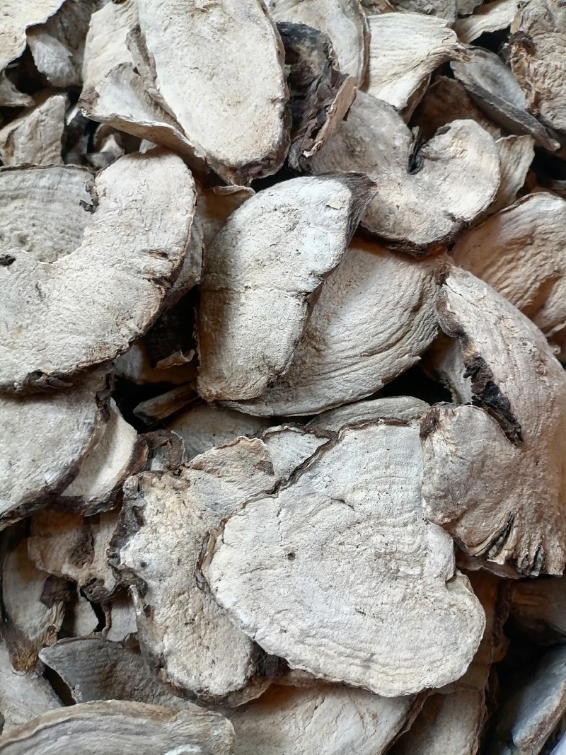 广东入地老鼠干货入地老鼠干货紫茉莉根干货