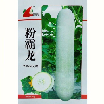 绿领粉霸龙冬瓜种子长圆柱形粉皮冬瓜种子内腔小产量高10克