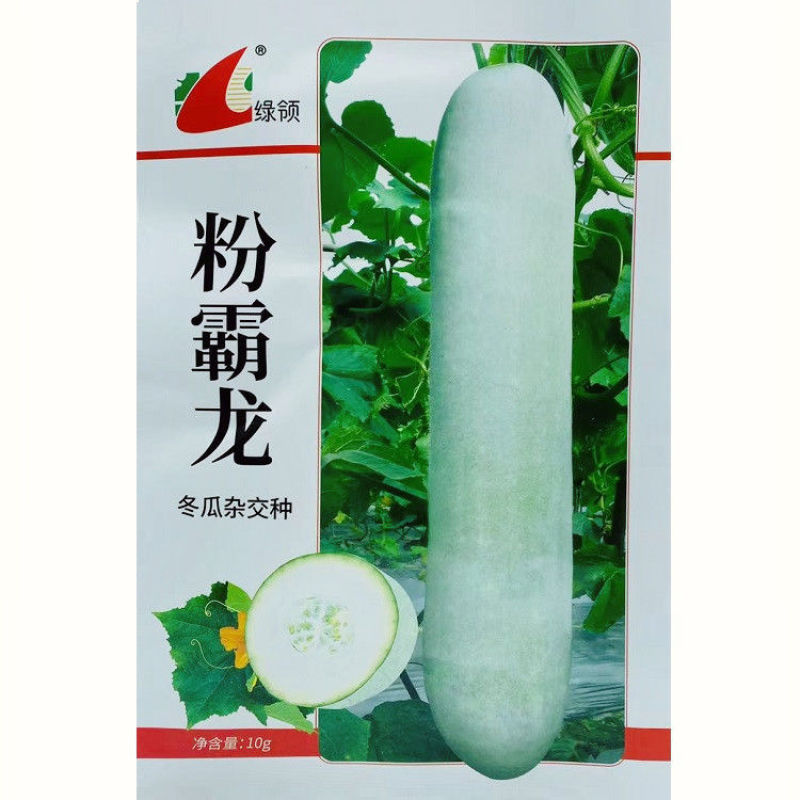 绿领粉霸龙冬瓜种子长圆柱形粉皮冬瓜种子内腔小产量高10克