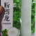 绿领粉霸龙冬瓜种子长圆柱形粉皮冬瓜种子内腔小产量高10克