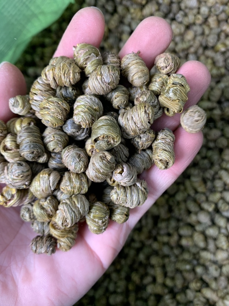 紫皮石斛枫斗统