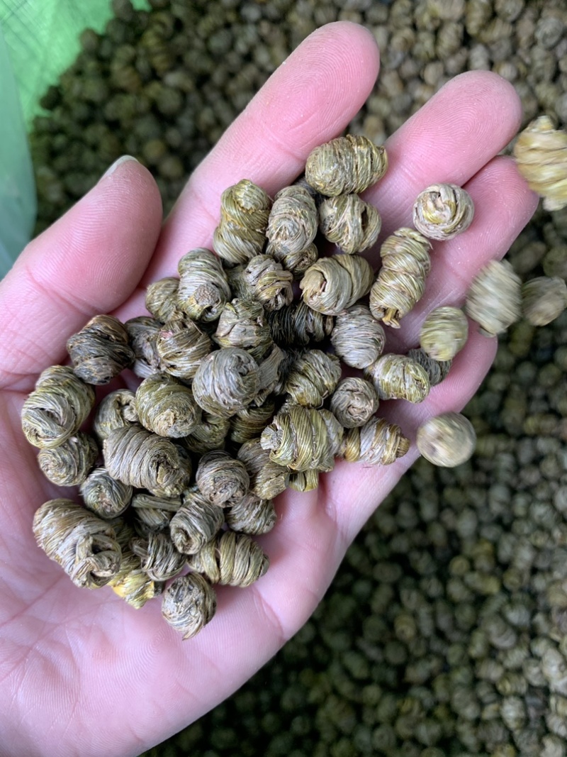 紫皮石斛枫斗统