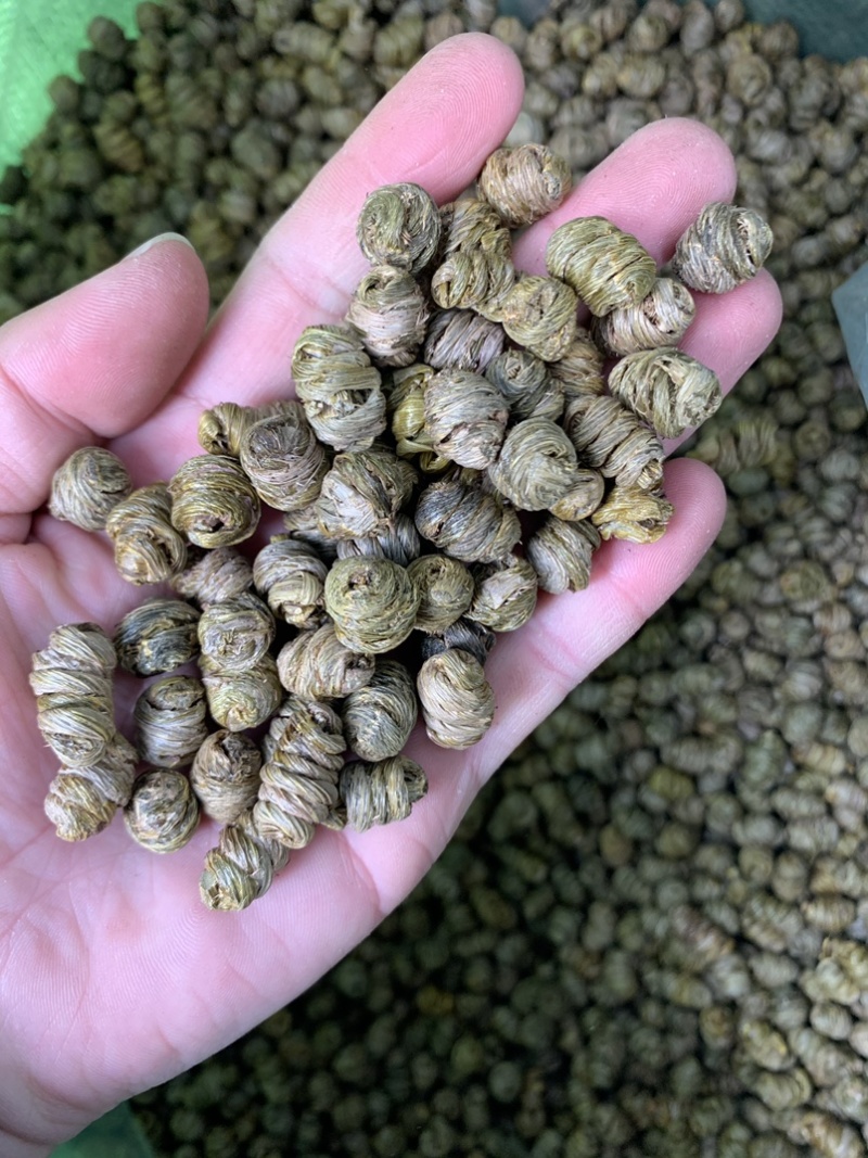 紫皮石斛枫斗统