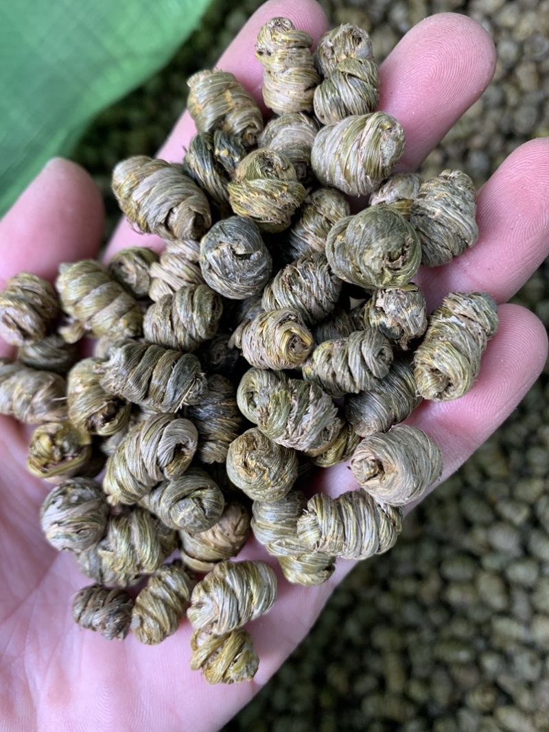 紫皮石斛枫斗统