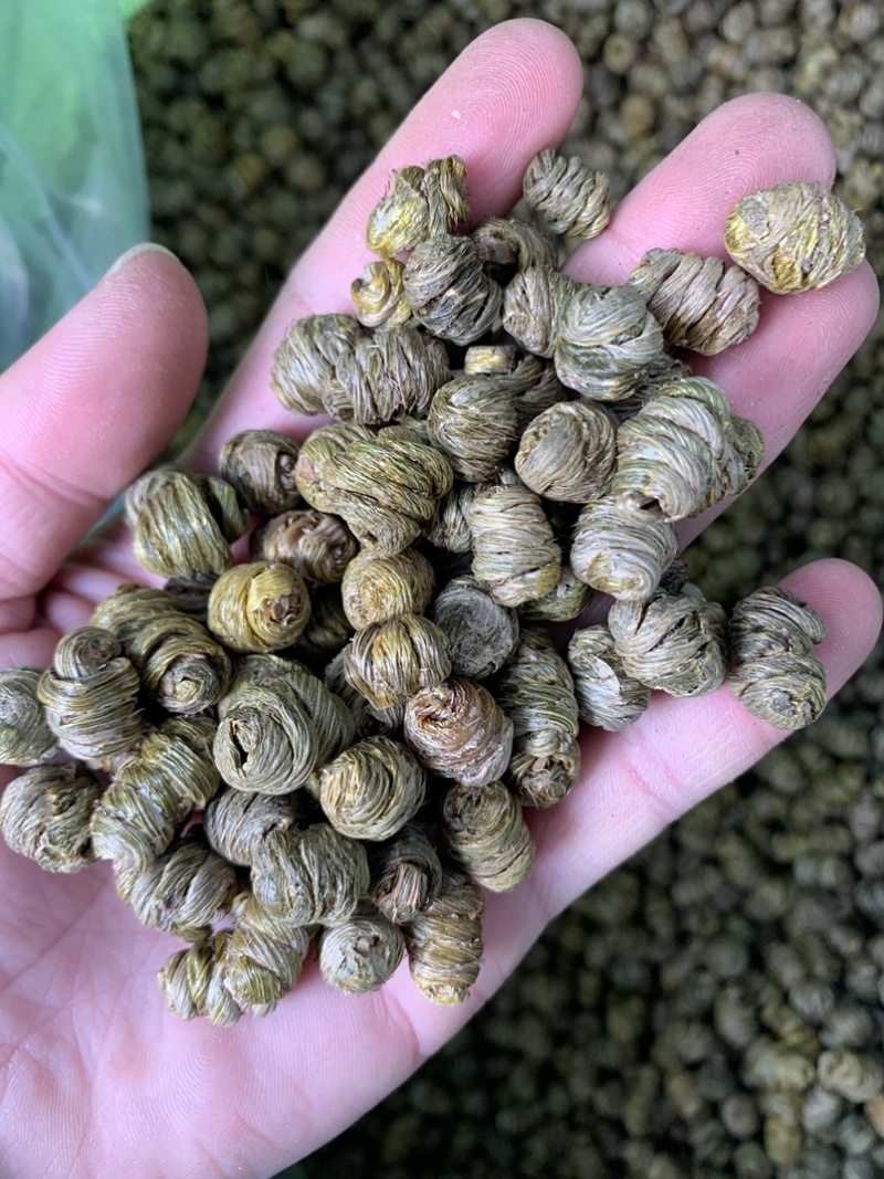 紫皮石斛枫斗统