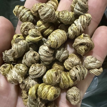 紫皮石斛枫斗统