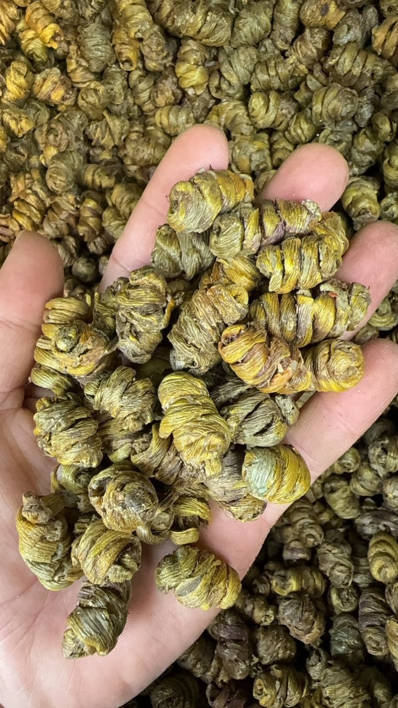 铁皮石斛枫斗