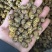 铁皮石斛枫斗