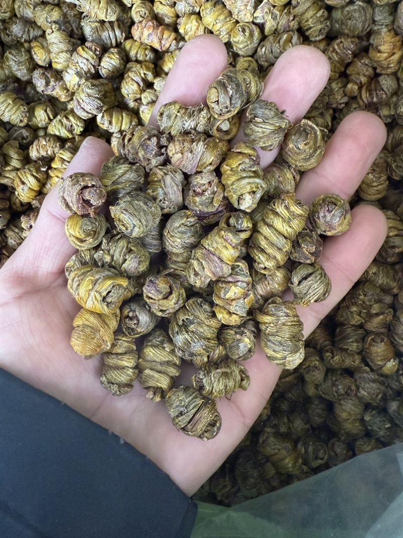 铁皮石斛枫斗