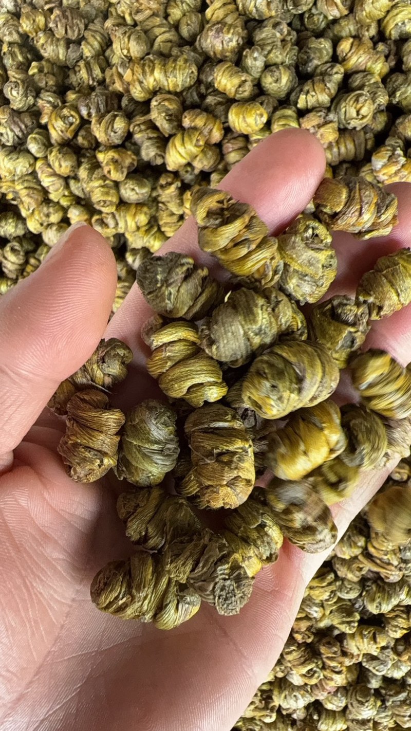 铁皮石斛枫斗