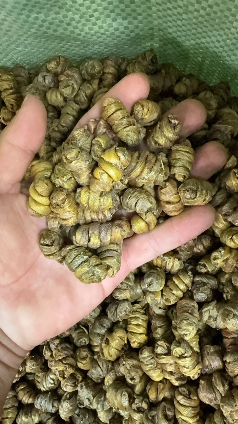 铁皮石斛枫斗