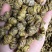 铁皮石斛枫斗