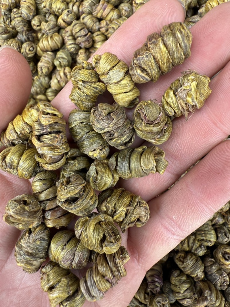 铁皮石斛枫斗