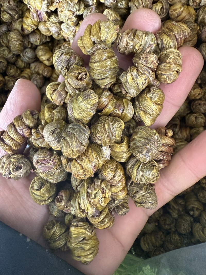 铁皮石斛枫斗