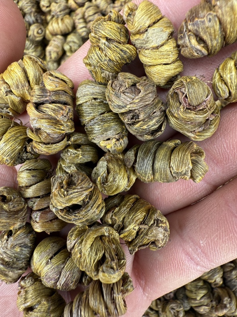铁皮石斛枫斗