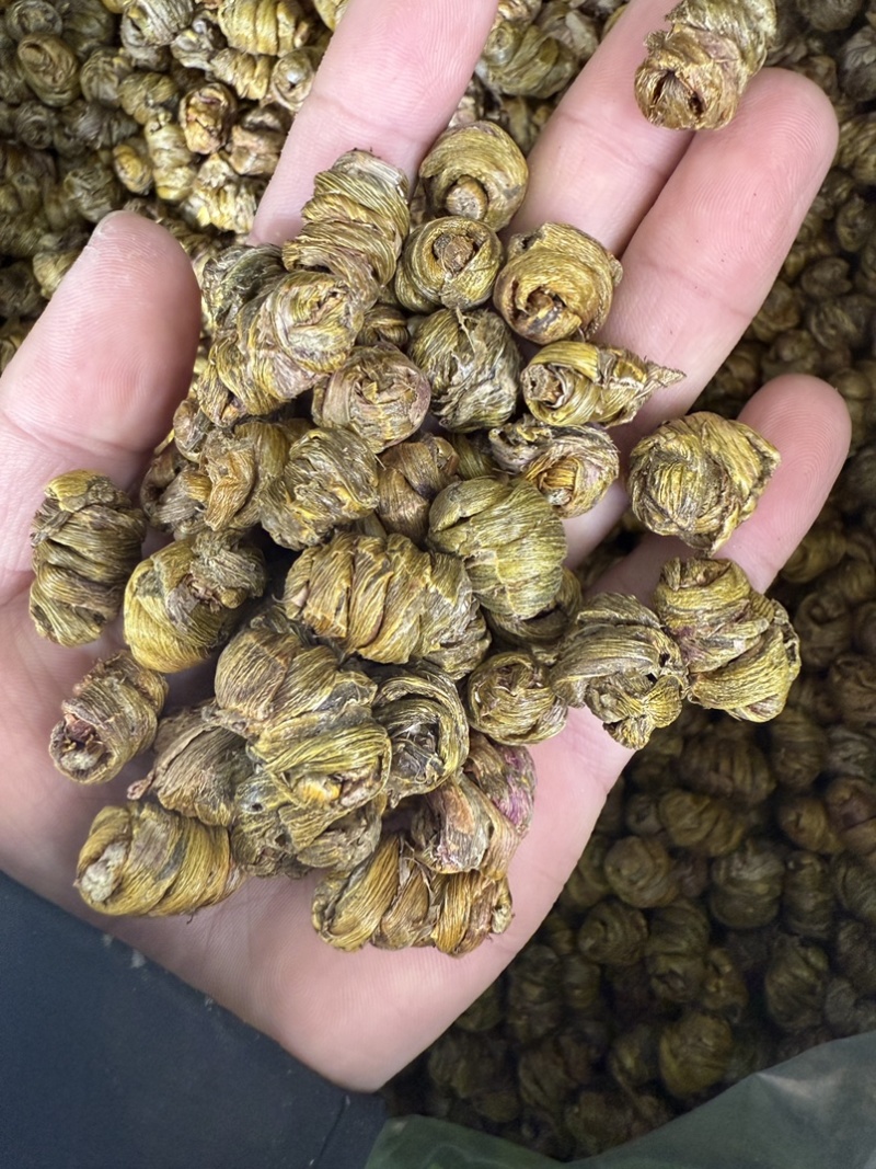 铁皮石斛枫斗