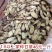 甘草地摊电商批发甘草干干甘草甘草圆片药材批发红皮甘草片