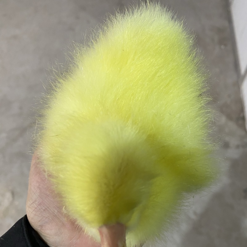 脱温鹅