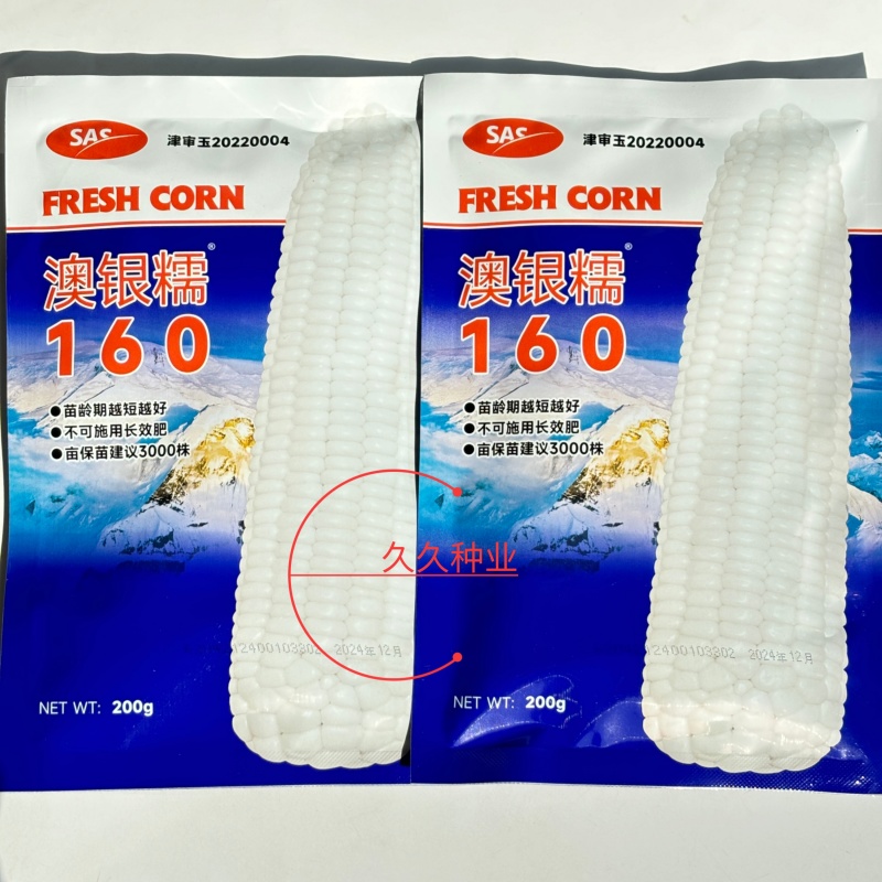 澳银糯160玉米种子早熟大棒甜糯玉米种子春季播种鲜食