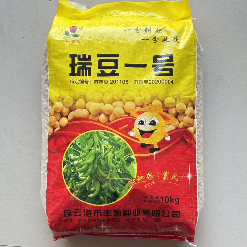 瑞豆一号黑脐黄豆种子高产非转基因大豆种籽春夏季大田种农家