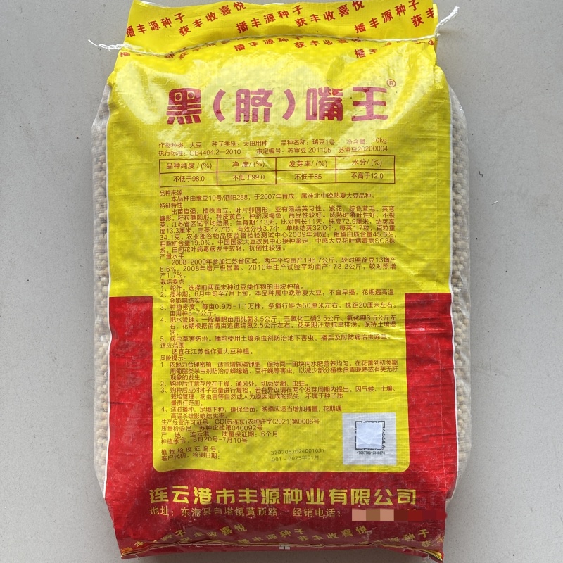 瑞豆一号黑脐黄豆种子高产非转基因大豆种籽春夏季大田种农家