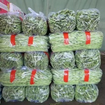 精品架豆王大量上市