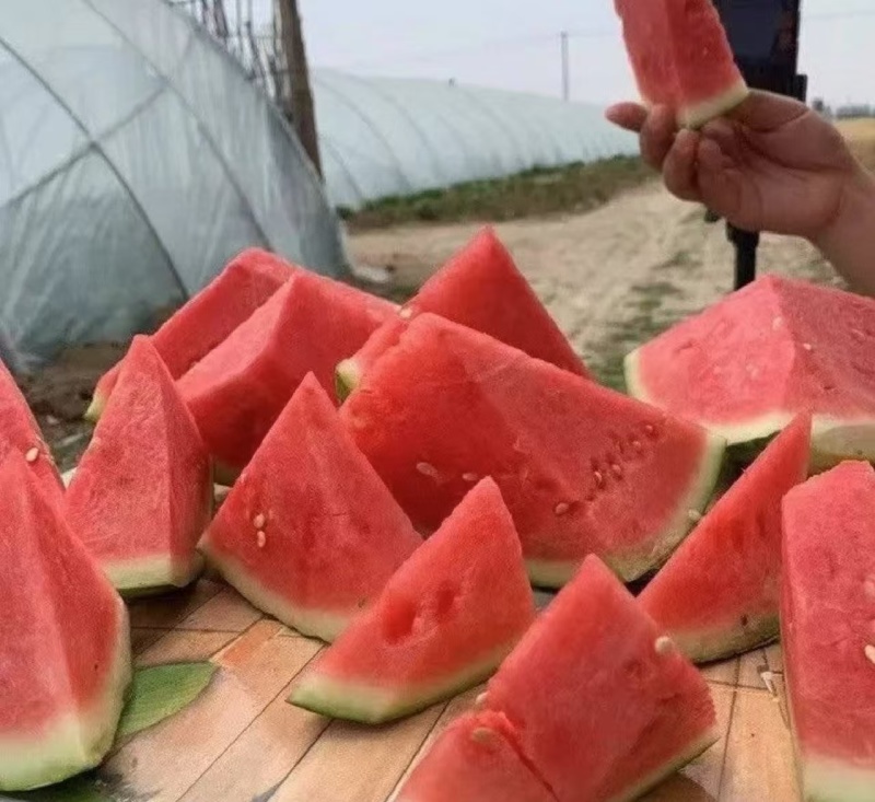 精品美都麒麟西瓜，大量上市，产地直发，货源充足。