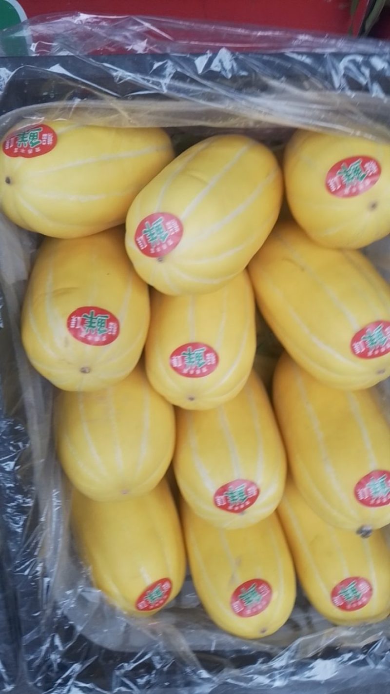 香甜瓜，