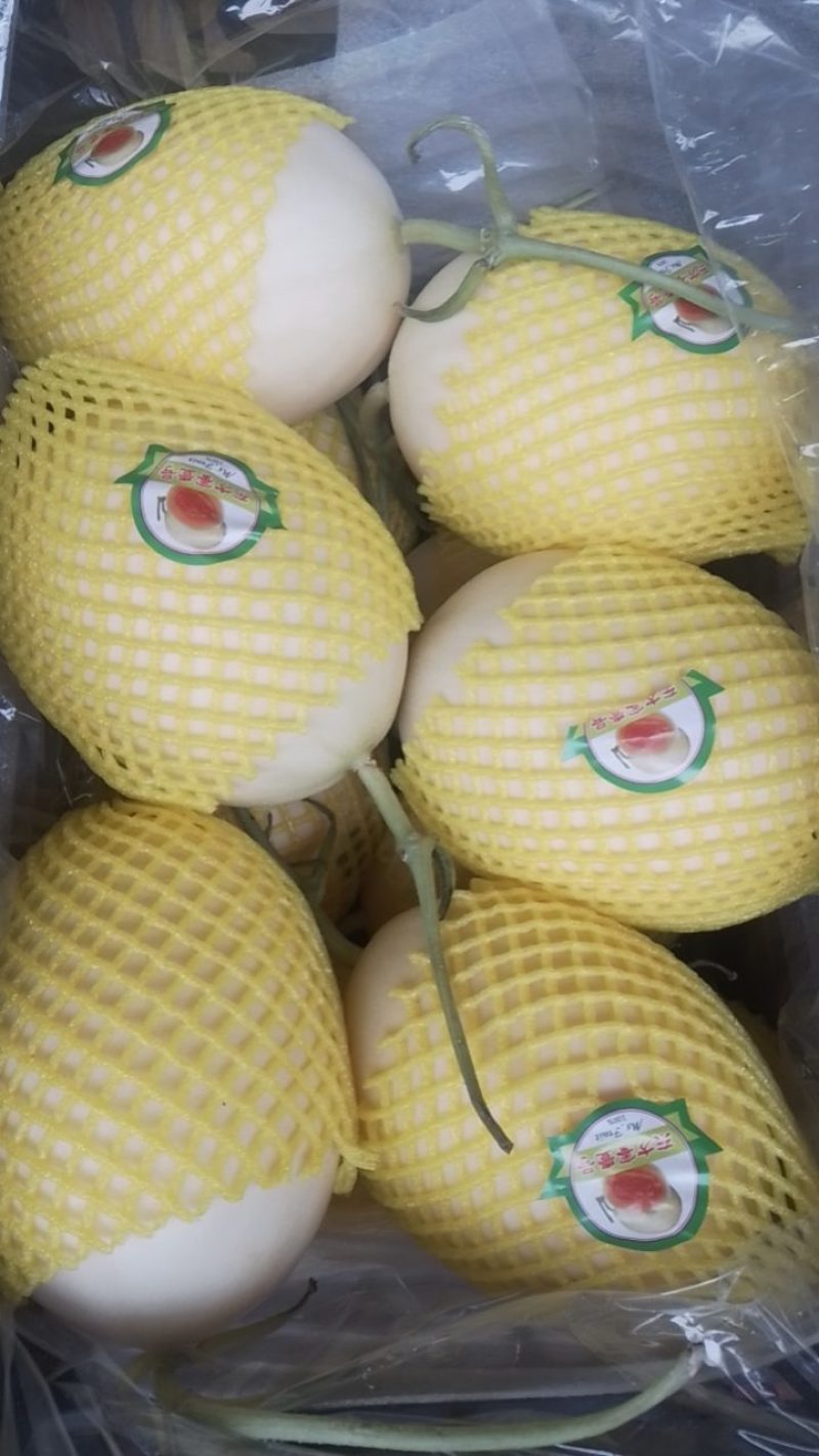 香甜瓜，