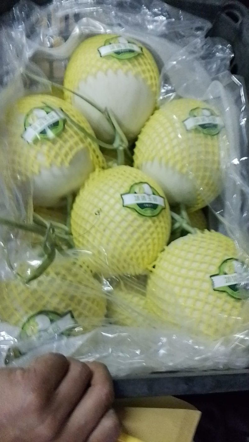 香甜瓜，