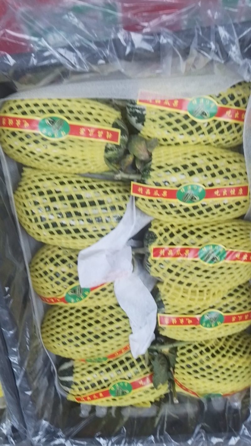 香甜瓜，