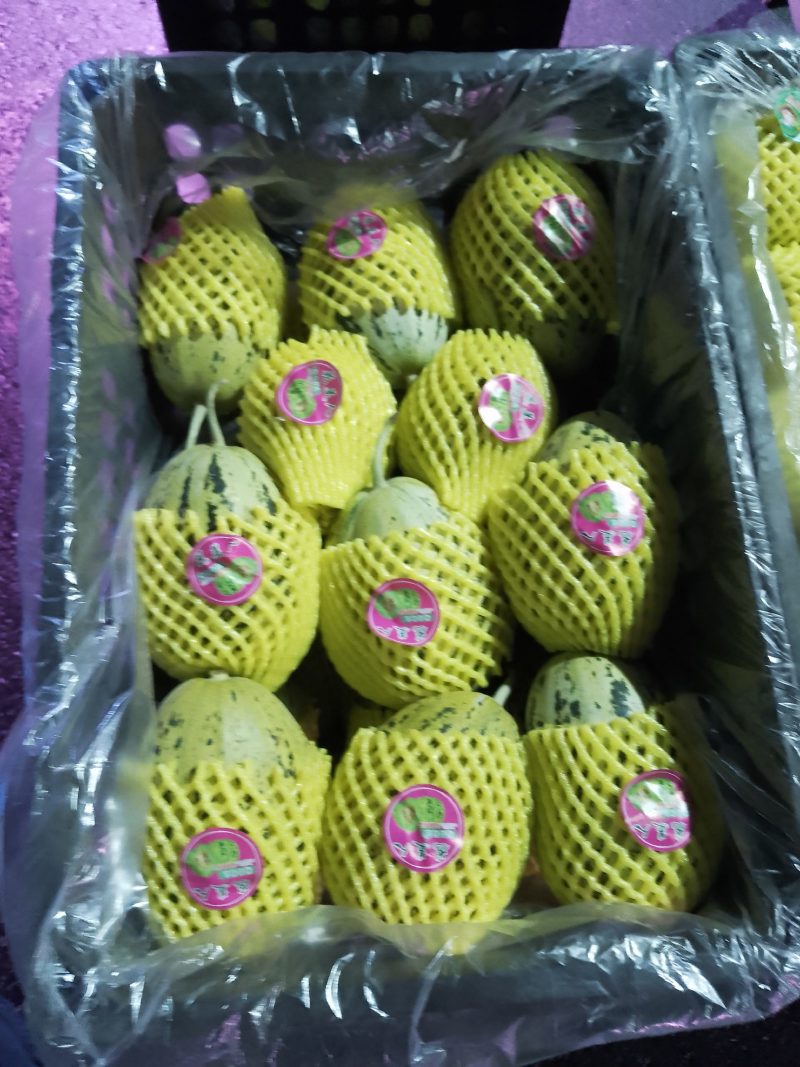 香甜瓜，