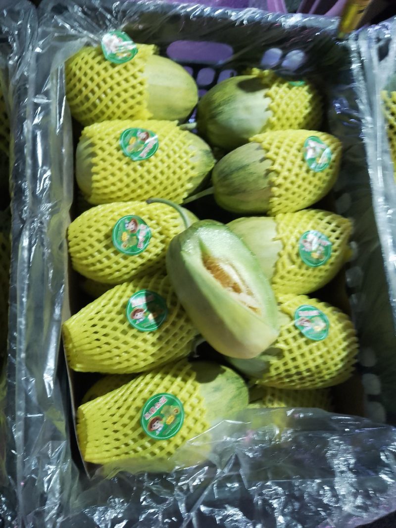 香甜瓜，