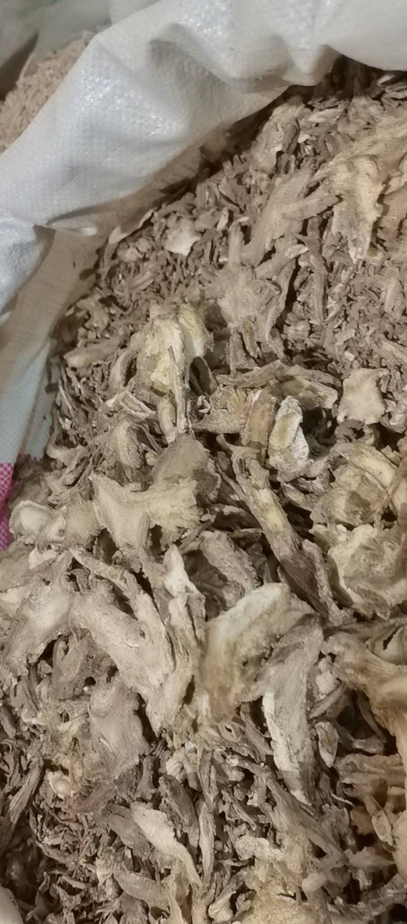 山东菏泽一手货源独活品质好价格优对接全国市场欢迎采购